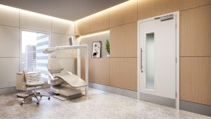 steel duopar door with steel frame and vision
