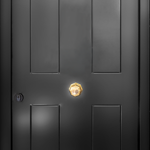 Defender PASguard-Pas24 rated doorset in black powder coat finish and decorative groove detailing